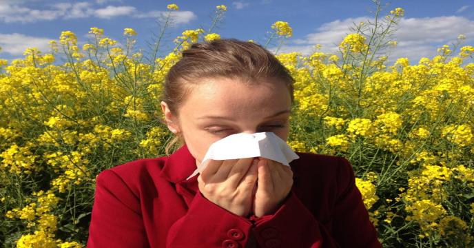 allergy-ge8f7b131d_1920_0.jpg