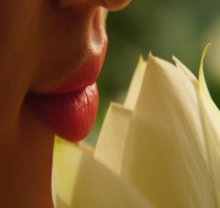 beautiful-flowers-3490311_1920_0.jpg