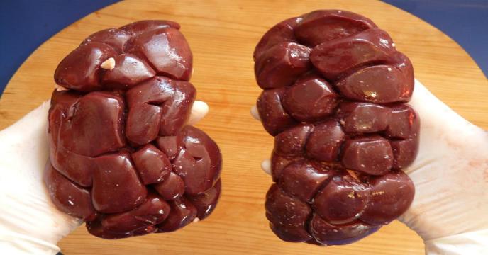 beef-kidney-ged68b05d2_1920_0.jpg