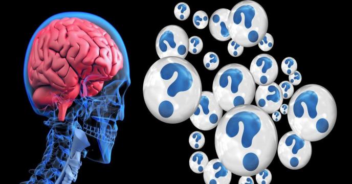 brain-g24596afd2_1920_0.jpg