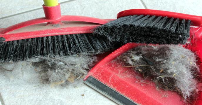 broom-g4947da00a_1920_0.jpg