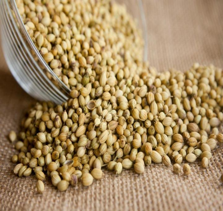 coriander-166990_1280_0.jpg
