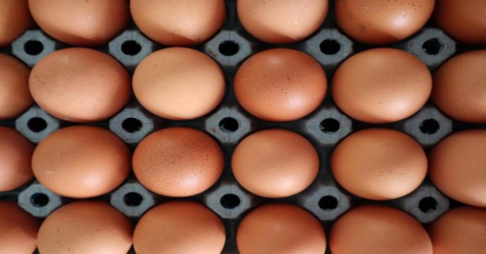 egg-gec8bcf0e1_1920_0.jpg