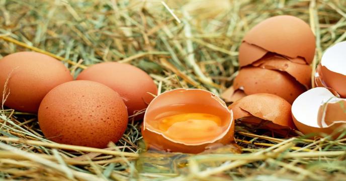 eggs-gad02dffc7_1920_0.jpg