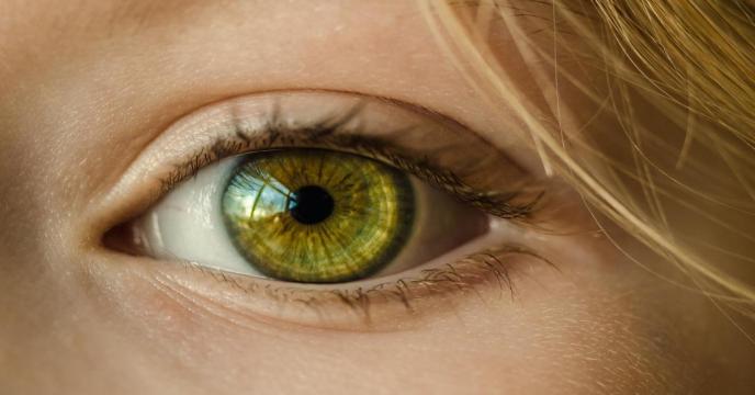 eye-gbbdedfcbb_1920_0.jpg