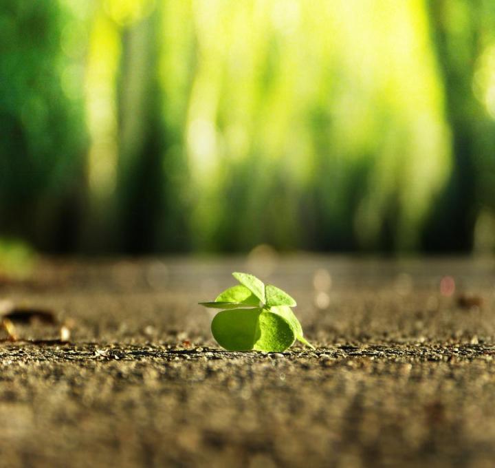 four-leaf-clover-g27d100c1f_1920_0.jpg