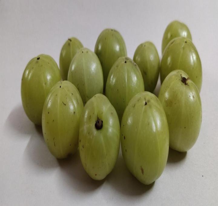 gooseberry-6131602_1280_0.jpg
