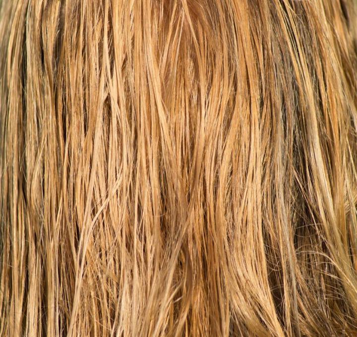 hair-3419148_1920_0.jpg