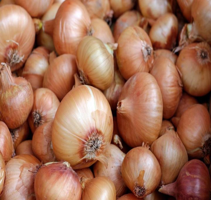 onions-1397037_1920_1_0.jpg