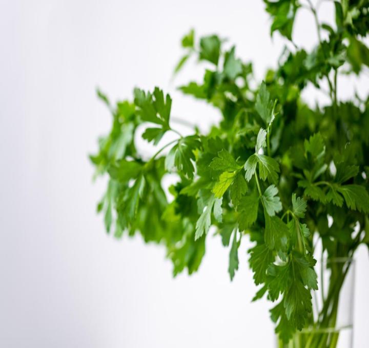 parsely-4688651_1920_0.jpg