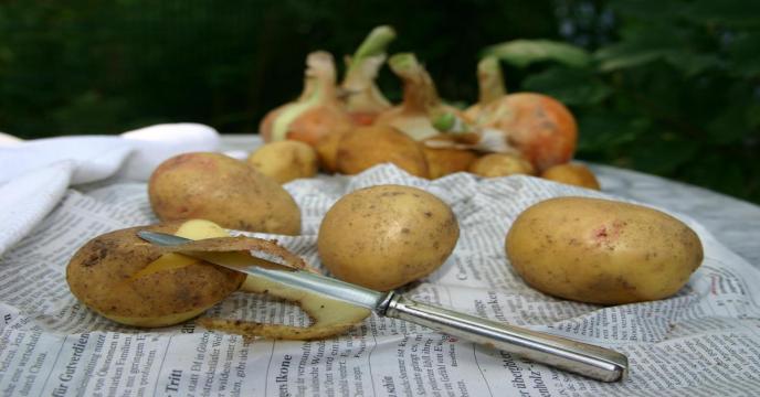 potato-g23219b87e_1920_0.jpg