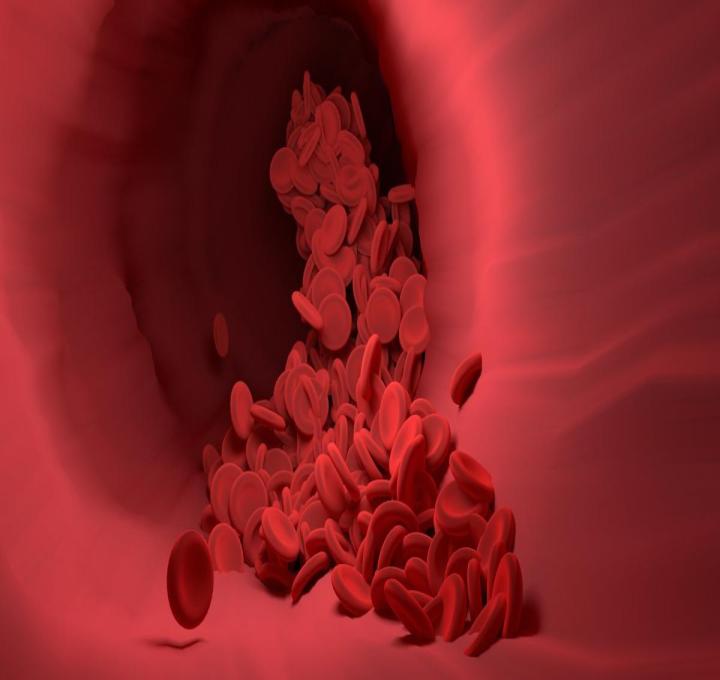 red-blood-cells-g1a2eadc63_1920_0.jpg