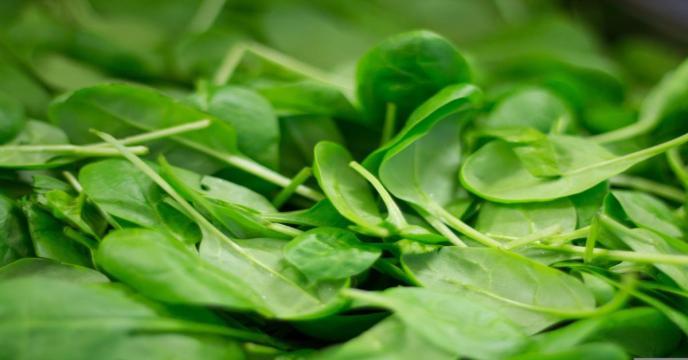 spinach-g59263ff4c_1920_0_0.jpg